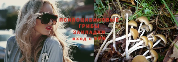 гидропоника Лагань